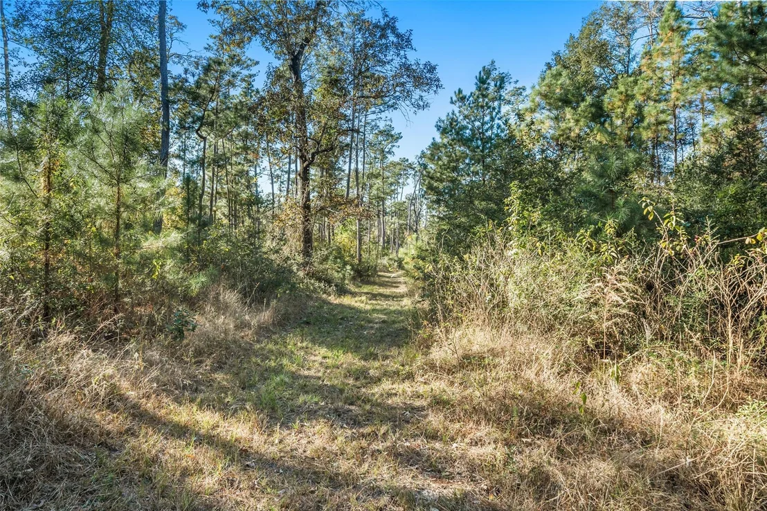 Photo of 224 Commanche Road