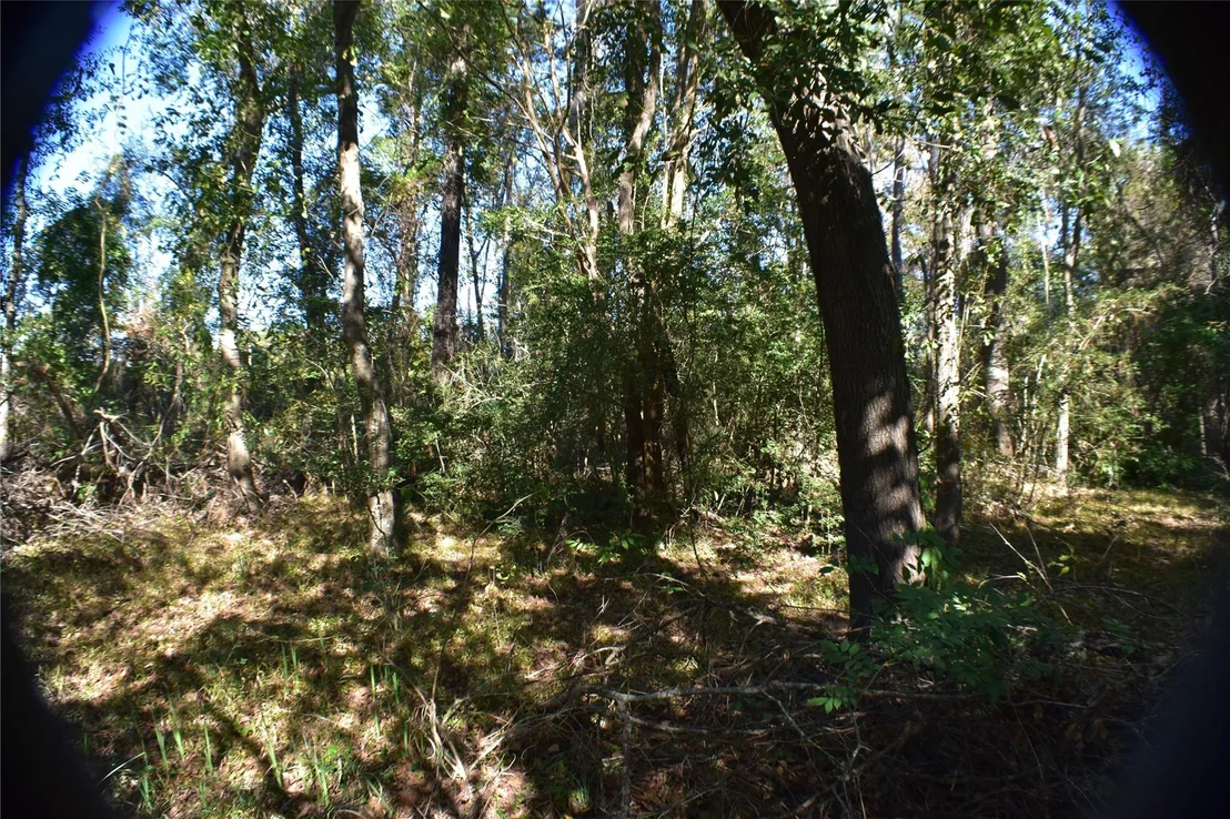 Photo of 3415 Evergreen Drive