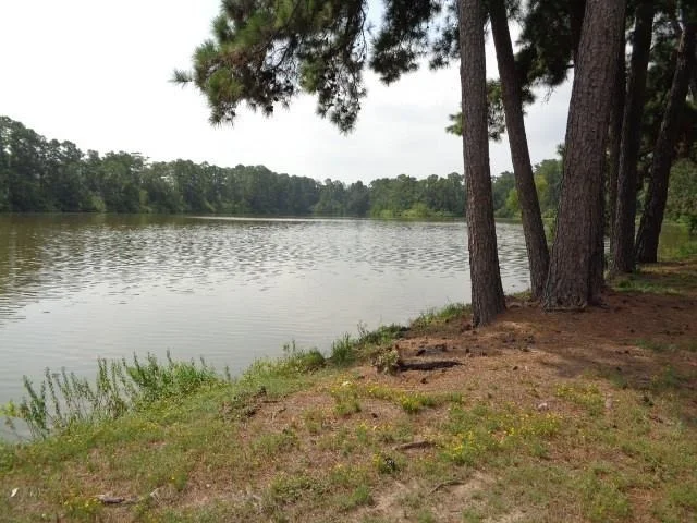 Photo of 600 Bullfrog Lane