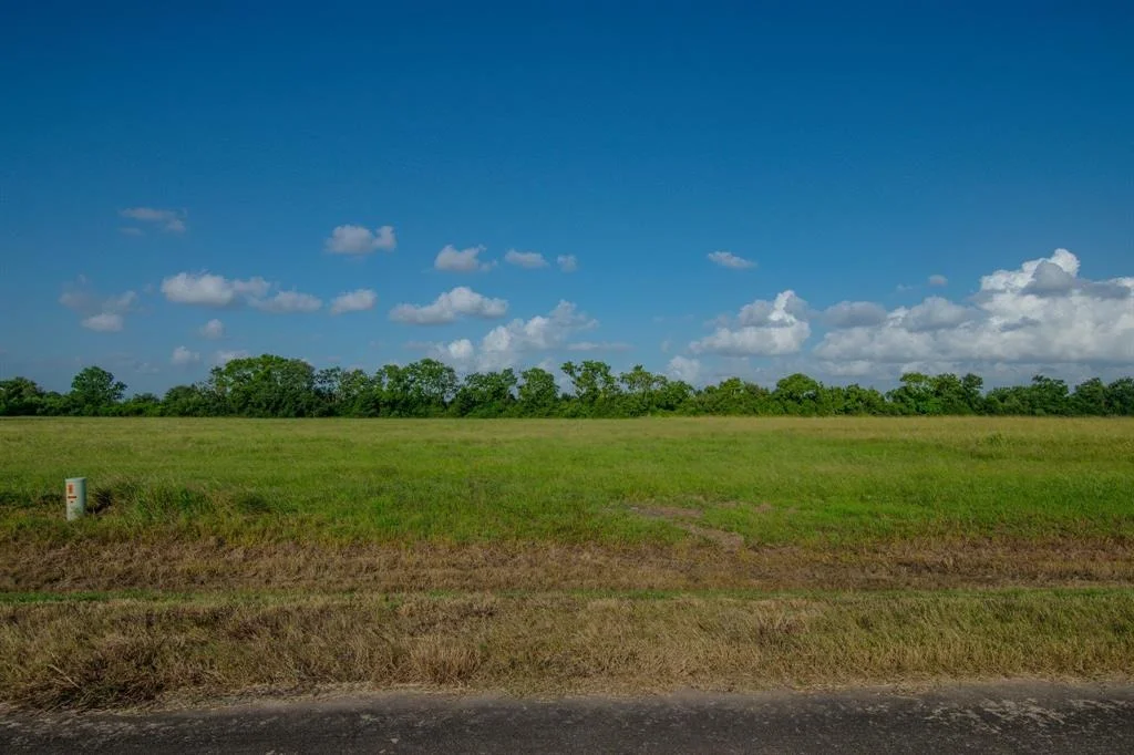 Photo of 1 Brahman Trail