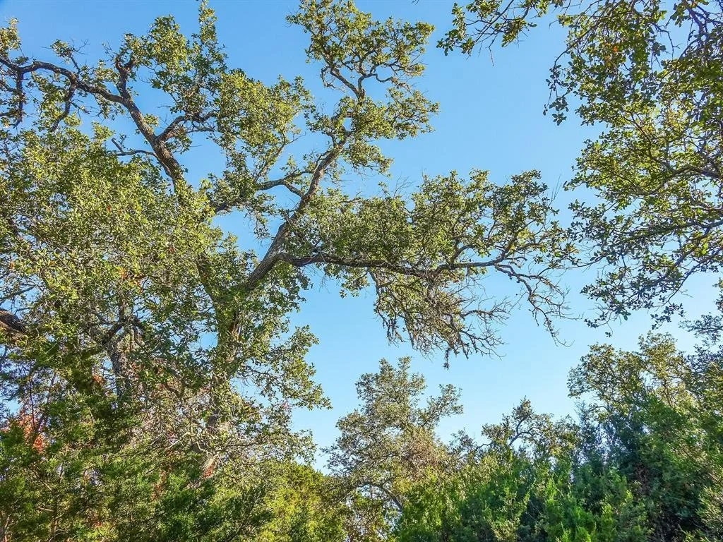 Photo of Lot 32 Rambling Oaks Drive