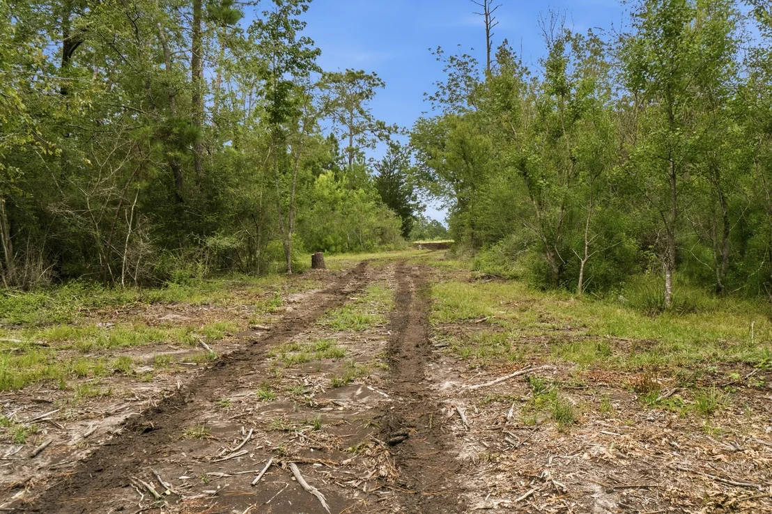 Photo of 9983 Us Hwy 287 E