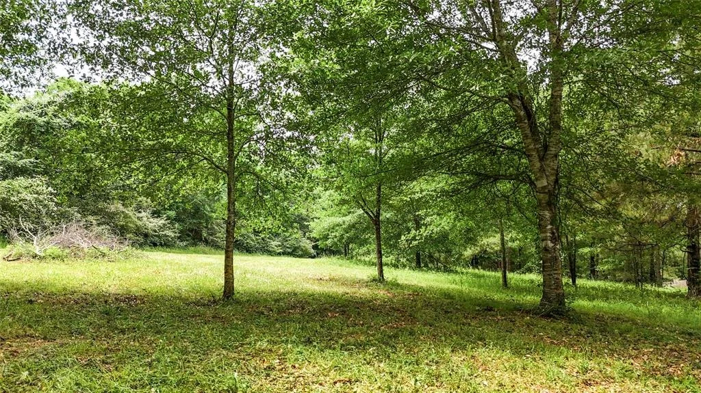 Photo of 2700 Spring Branch Road