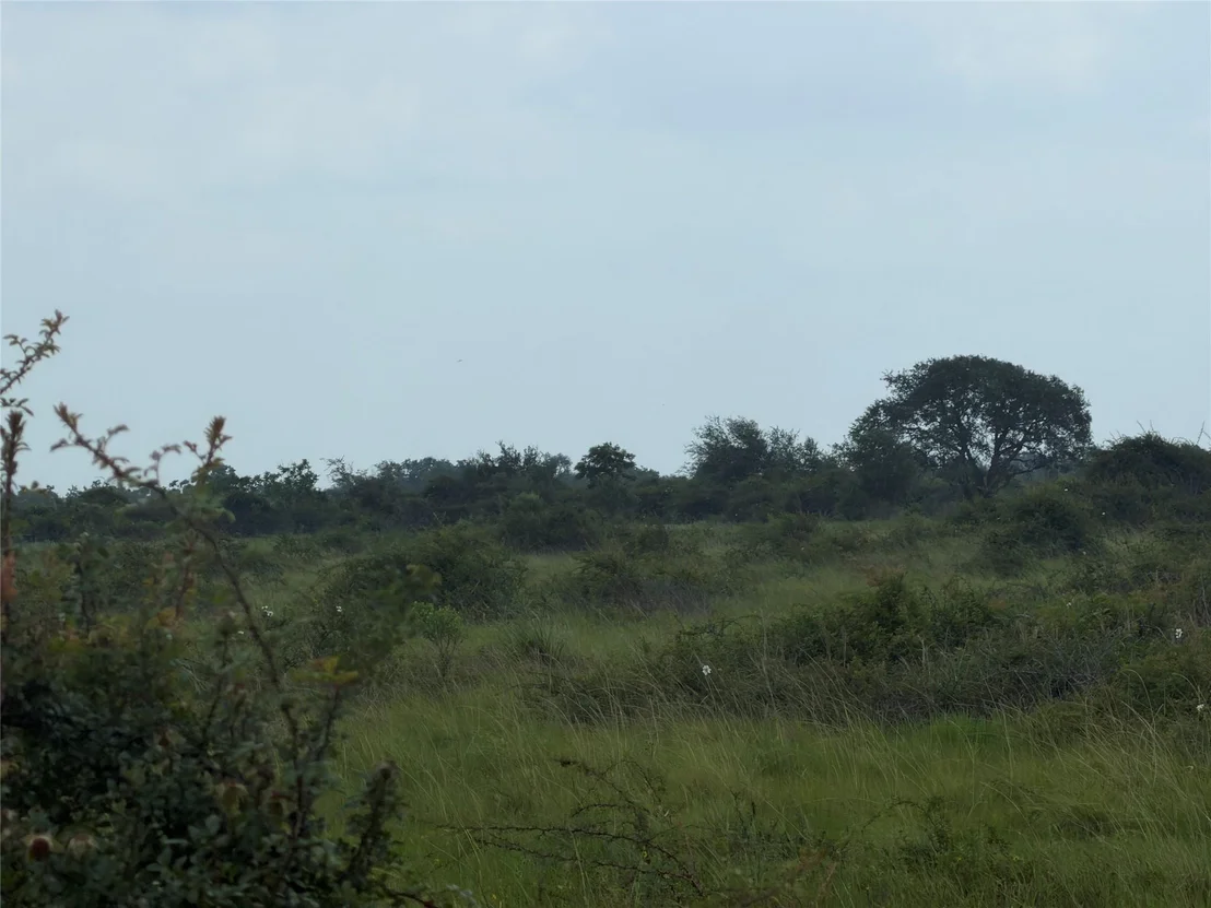 Photo of 0 Fm 616