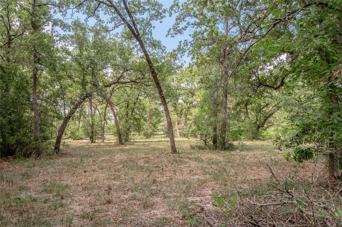 Photo of 125 Frank Cloud Road