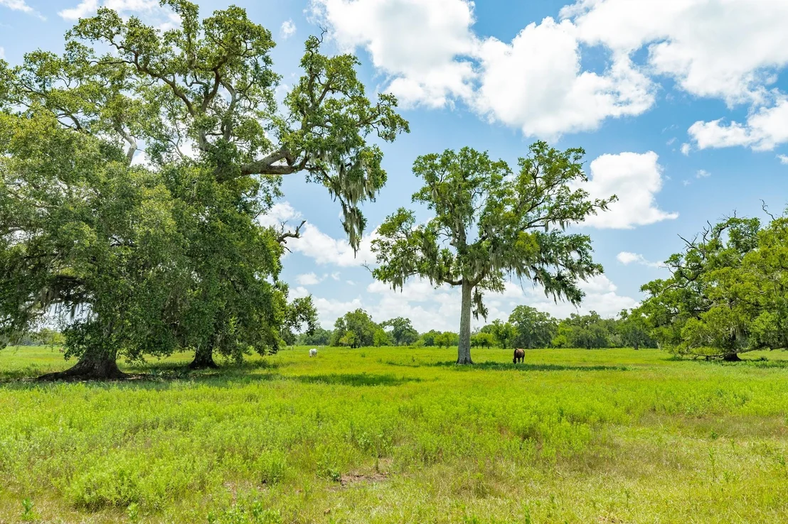 Photo of 438 County Road 164