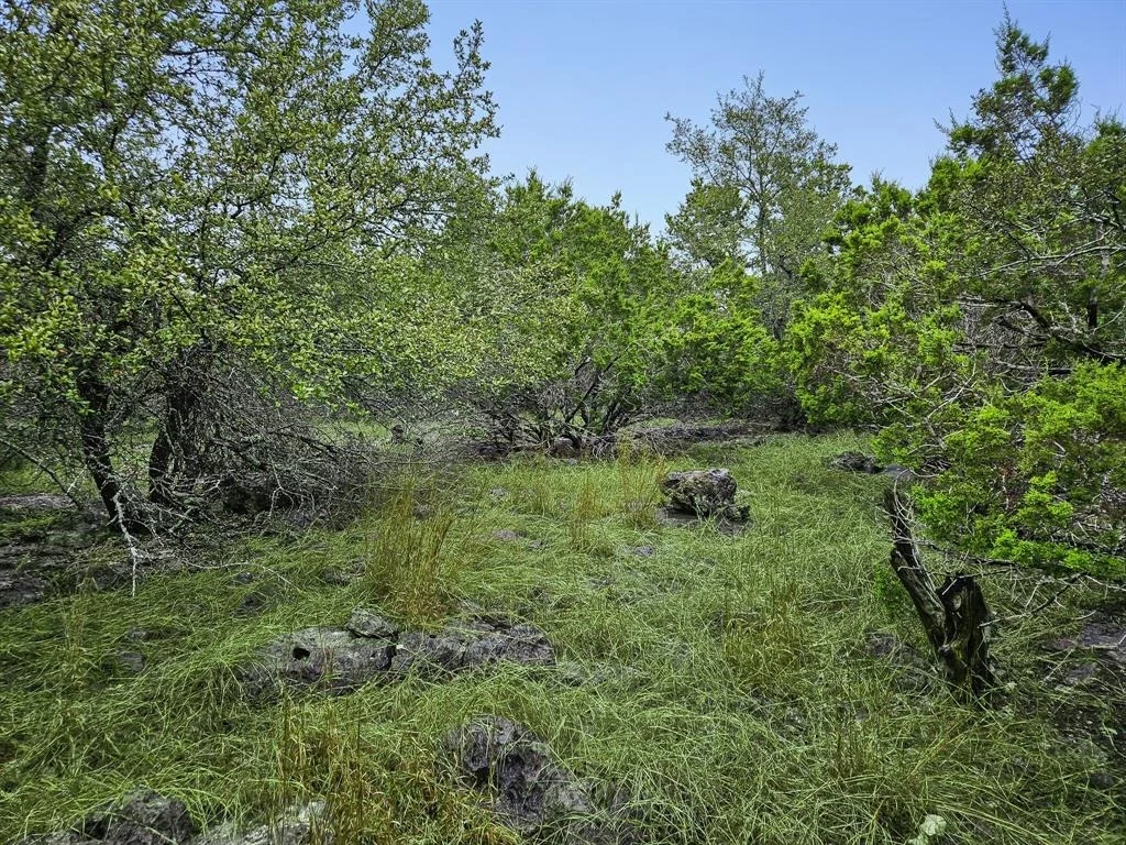 Photo of 157 Verbena Circle