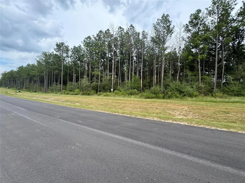 Photo of 15334 Forest Grove Drive