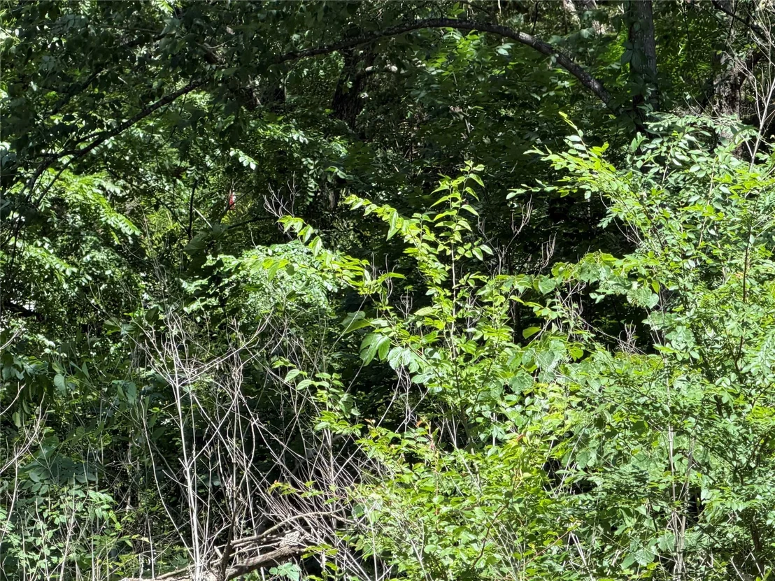 Photo of 1341 & 1343 Waikiki Trail