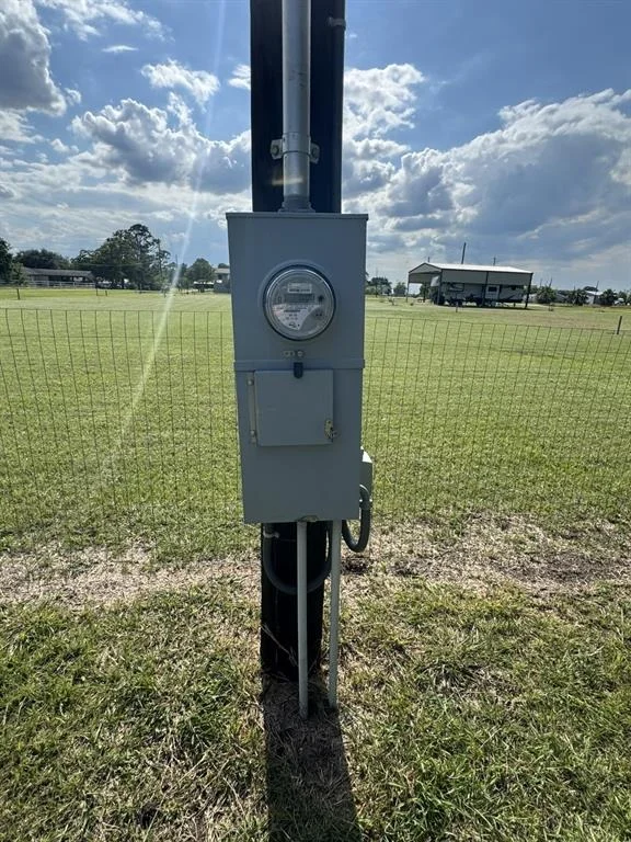 Photo of 92 Starling