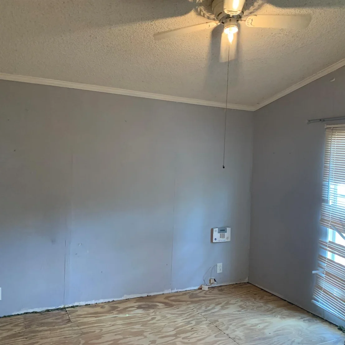 Photo of 202 Armadillo T