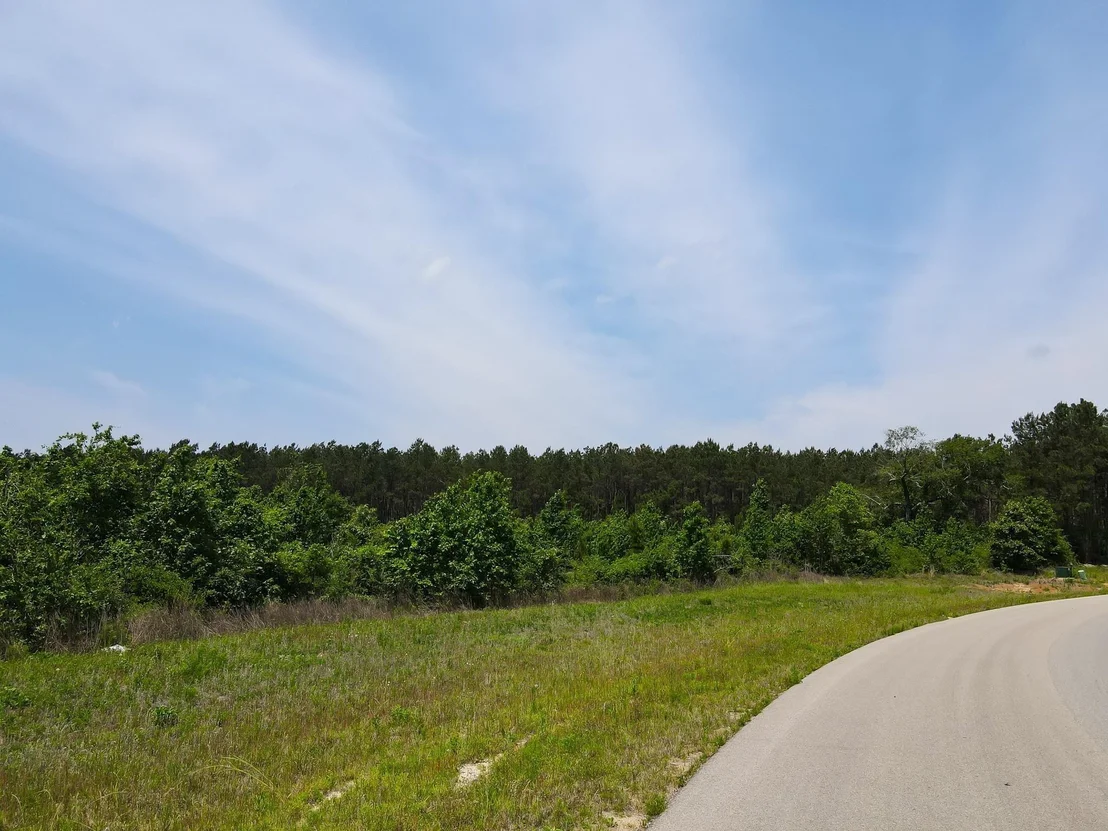 Photo of 16089 Forest Mill Road