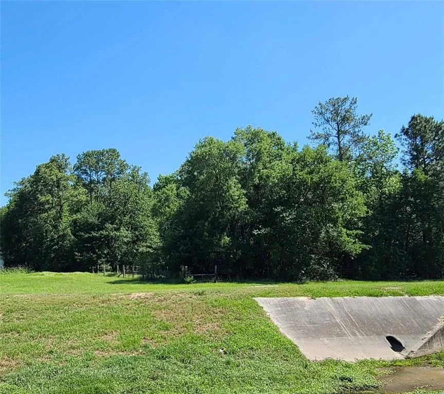 Photo of 411 Springwood Drive