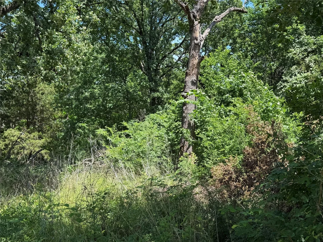 Photo of 1341 & 1343 Waikiki Trail