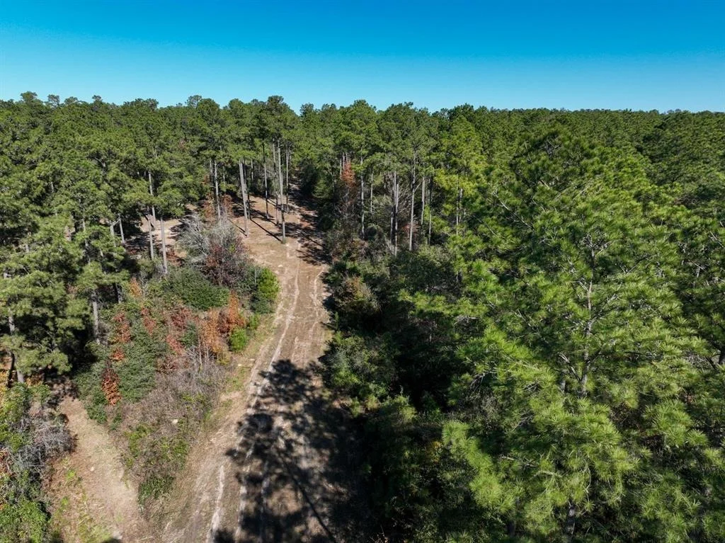Photo of 445 County Road 3190