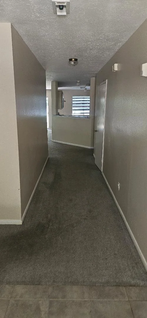 Photo of 19906 Black Cherry Bend Court
