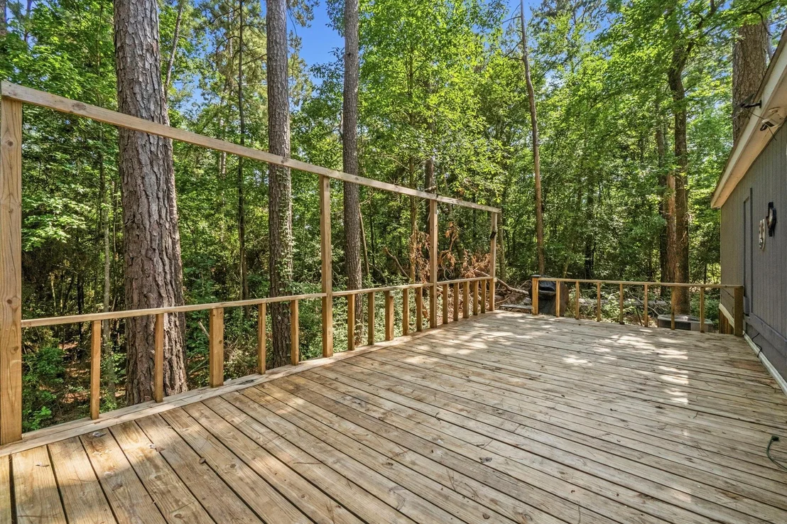 Photo of 165 Black Walnut