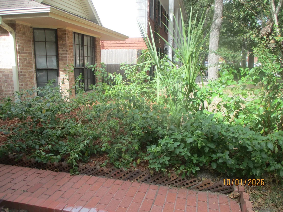 Photo of 25 Dover Drive
