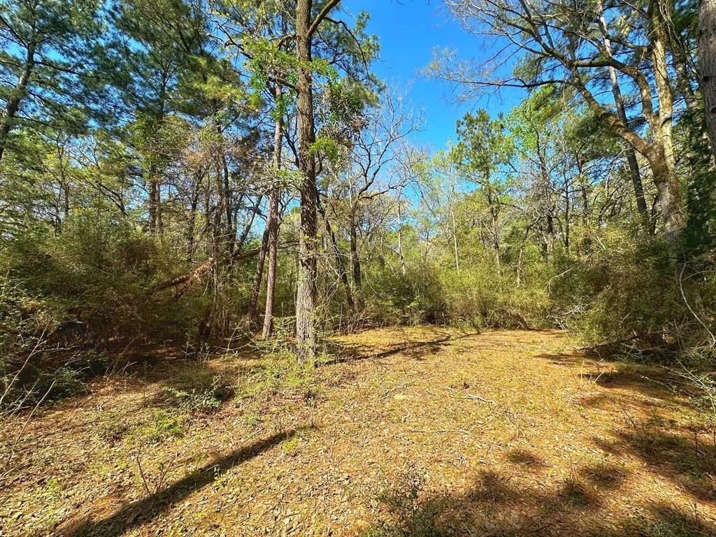 Photo of 751 Cr 121
