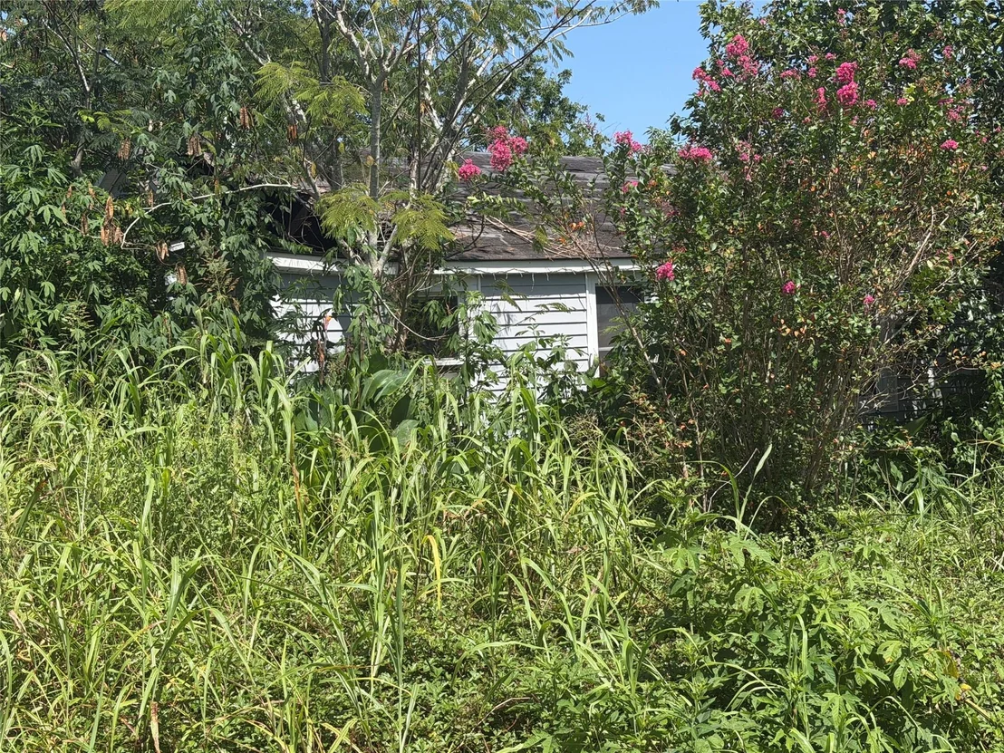 Photo of 4941 State Highway 172