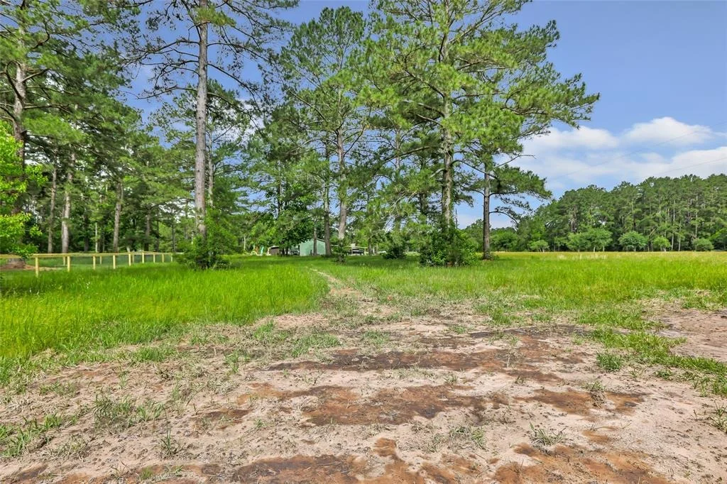 Photo of 1385 County Road 2224