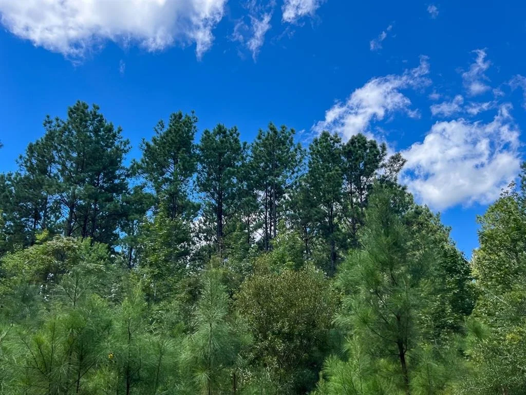 Photo of 02 Cr 4470