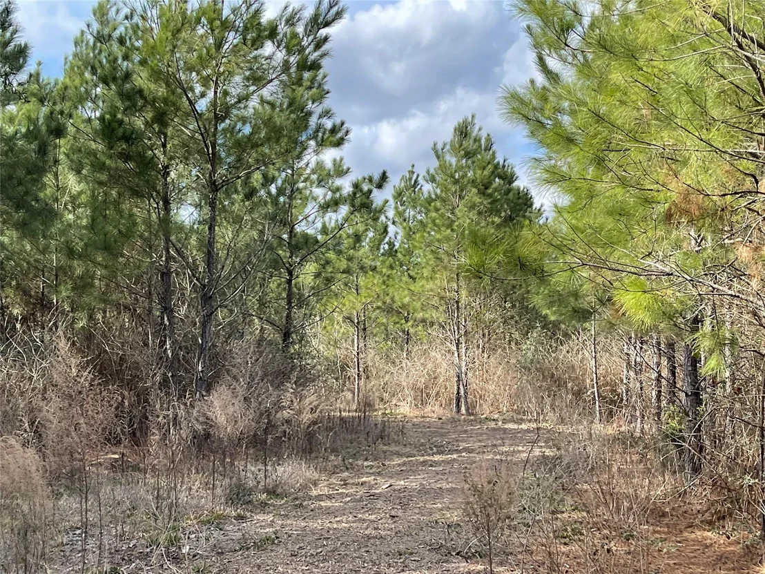 Photo of 15699 Ridge Rock Road