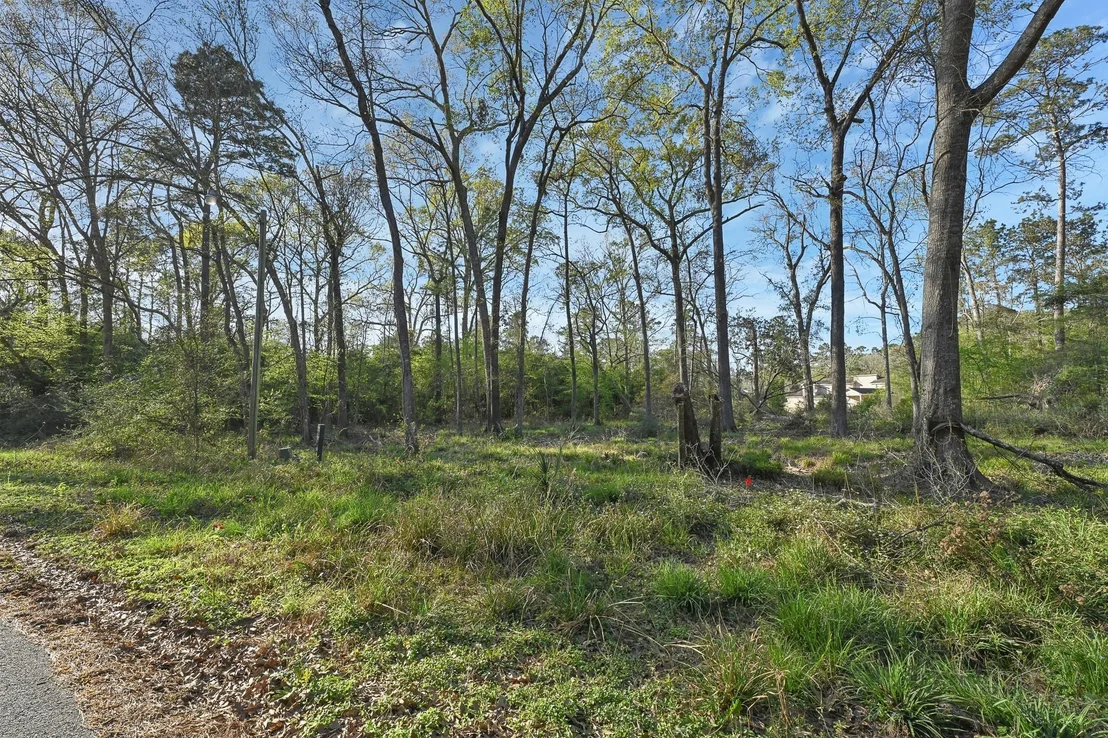 Photo of 231 Chariot Lane
