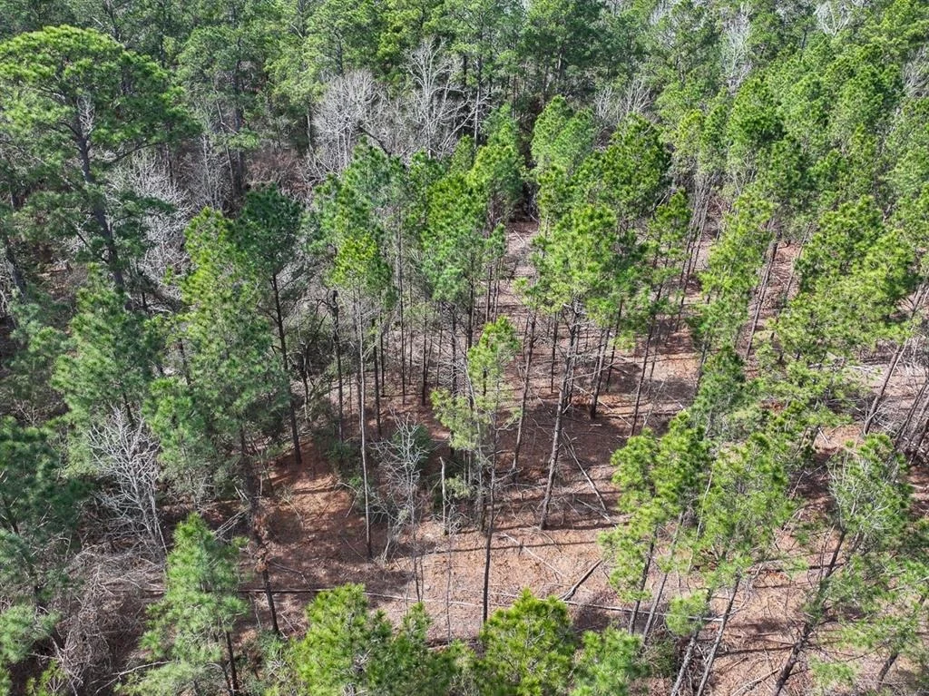 Photo of TBD Off Fm 355