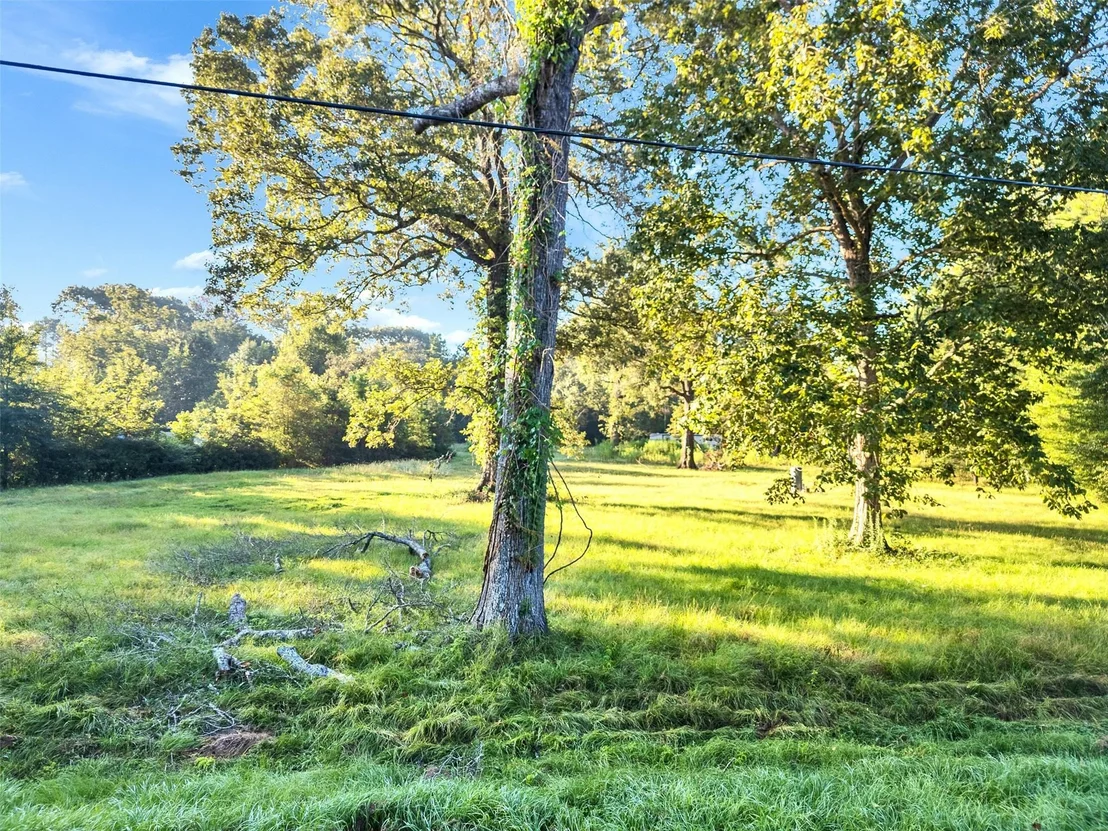 Photo of 619 County Road 642