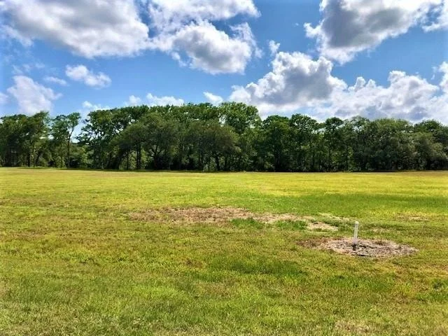 Photo of 223 River Tree Drive
