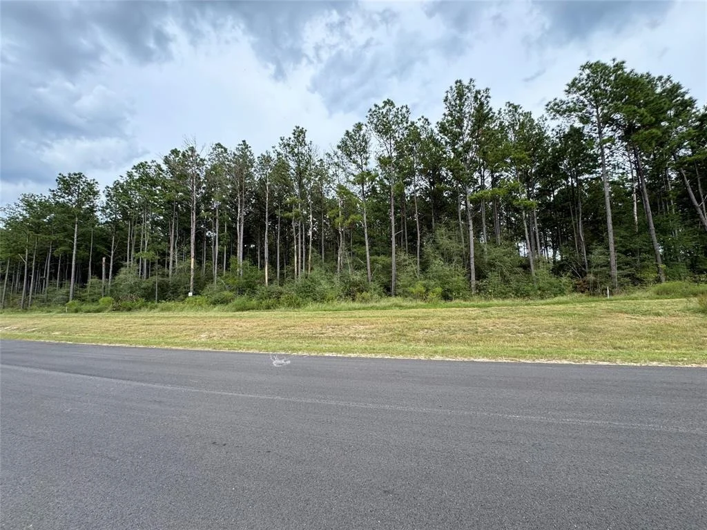 Photo of 15334 Forest Grove Drive