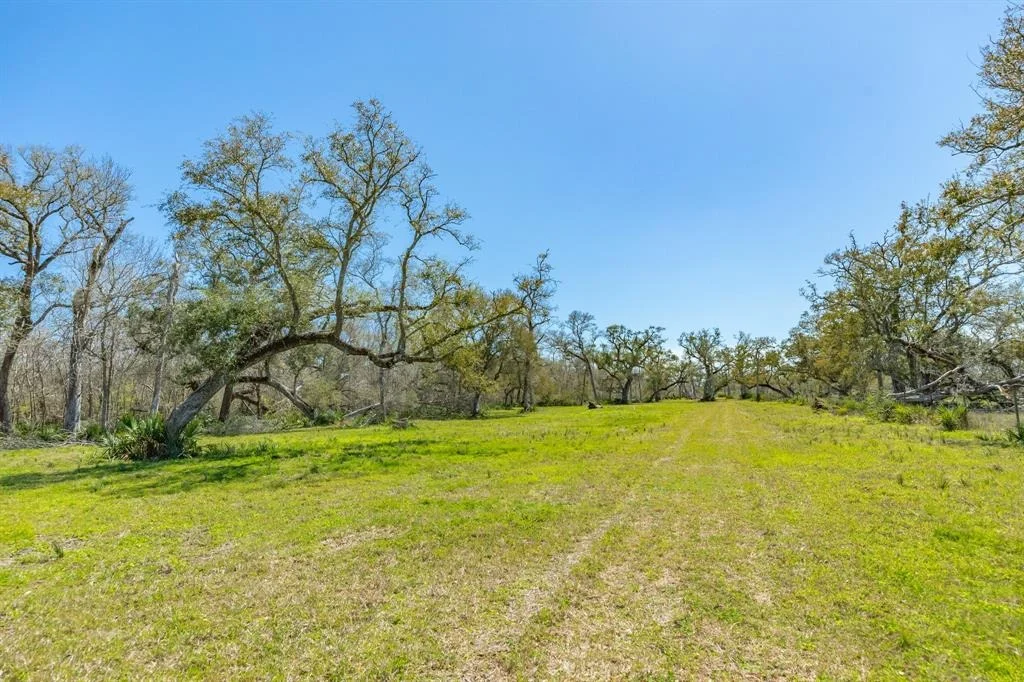 Photo of 7827 County Road 400
