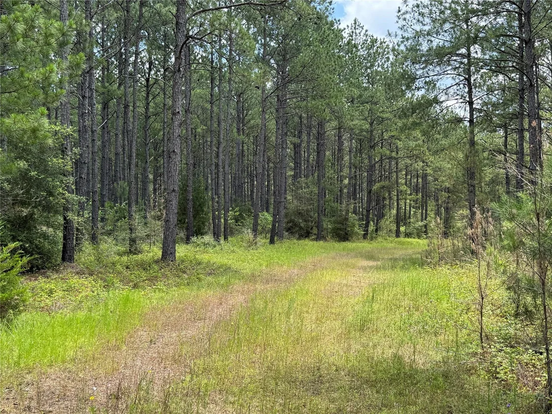Photo of 15780 Wooded Trail Way