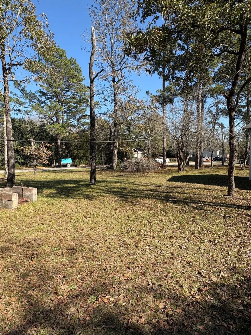 Photo of 0 Ben Milam Road
