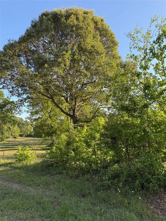 Photo of 00 Faulkner Street