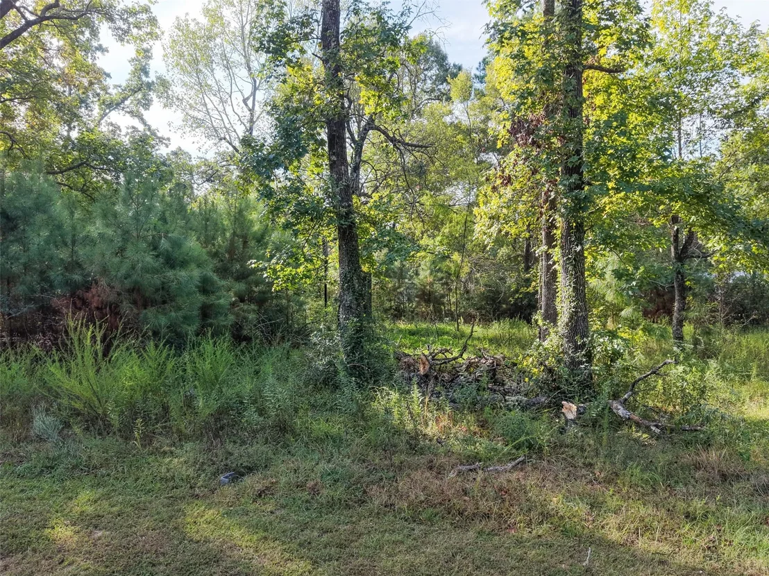 Photo of 562 Magnolia Park