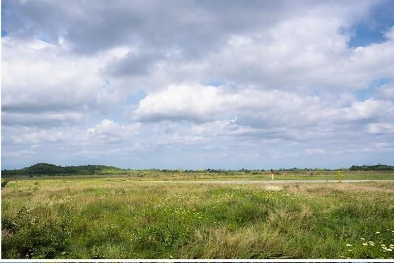 Photo of 10318 County Road 67