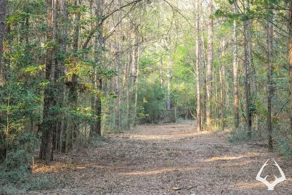 Photo of 850 County Road 4390