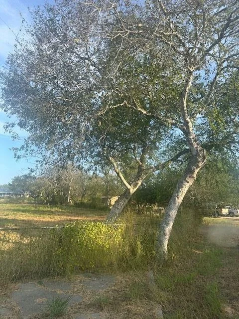 Photo of 101 Lake Wood Drive