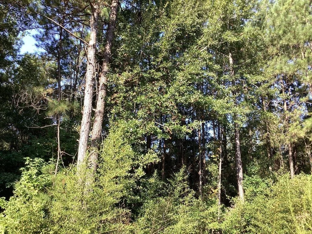Photo of 1125 County Road 3075