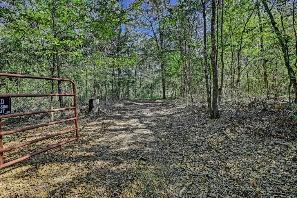 Photo of TBD Bryan Lane