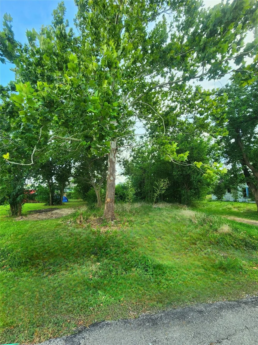 Photo of 9720 Bucroft Street