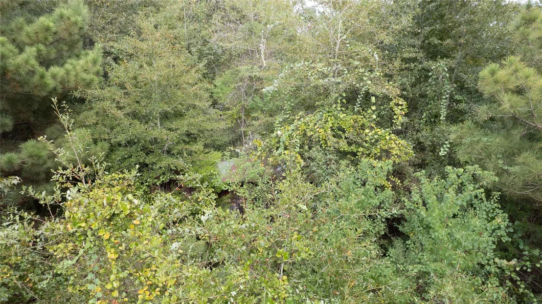 Photo of 770 County Rd 1675
