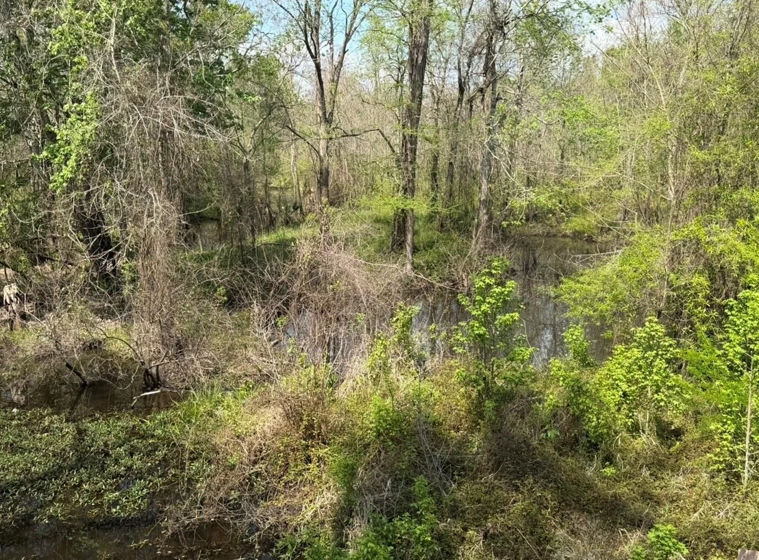 Photo of 7571 County Road 2252