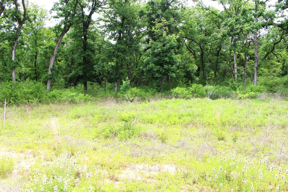 Photo of Tract 174 Pr 1311