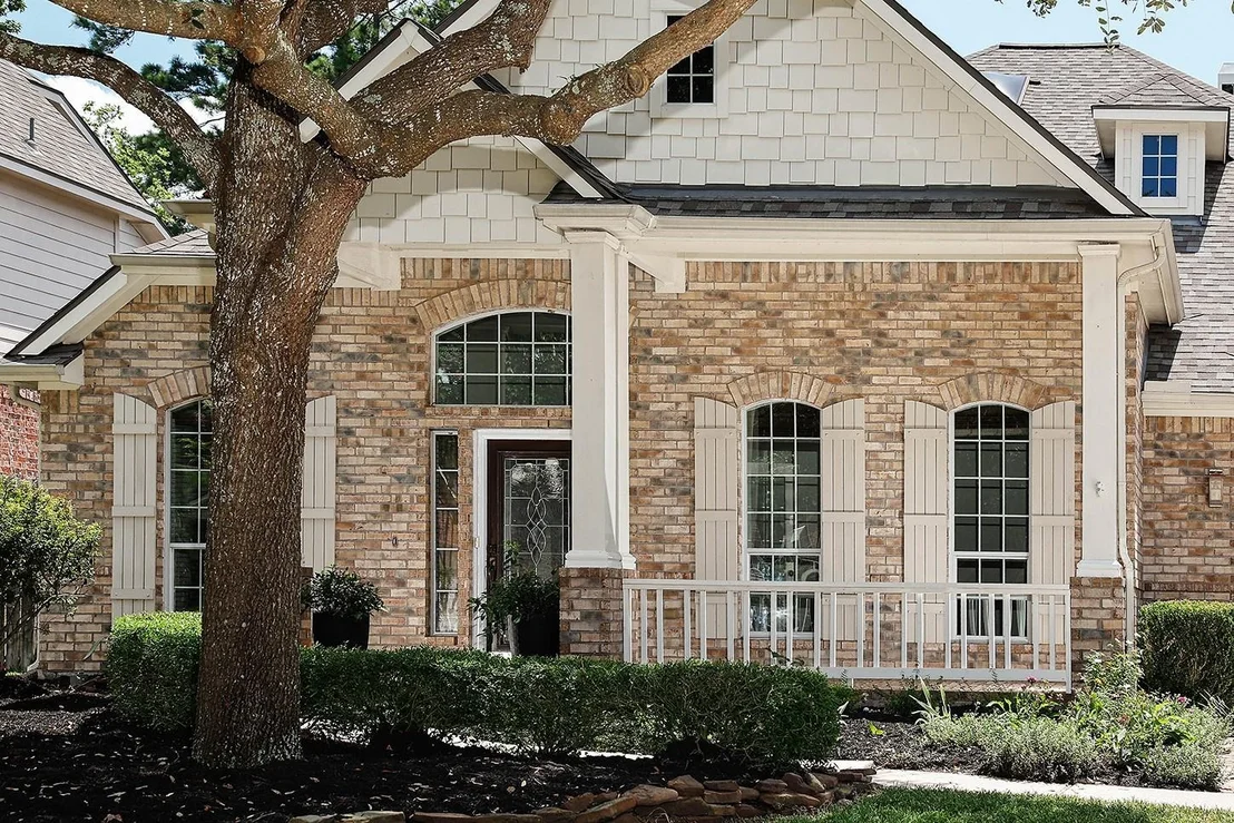 Photo of 14 Cordella