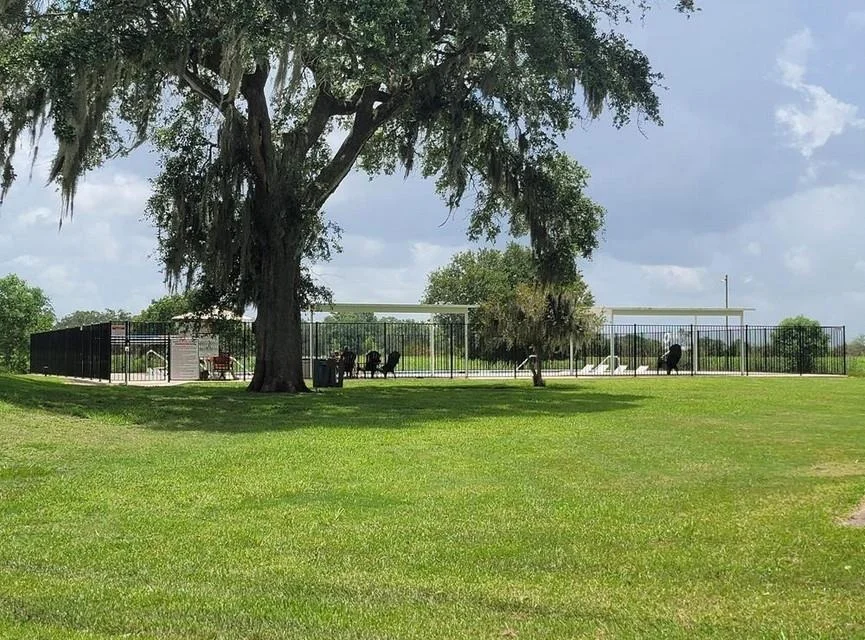 Photo of 348 Brahman Trail