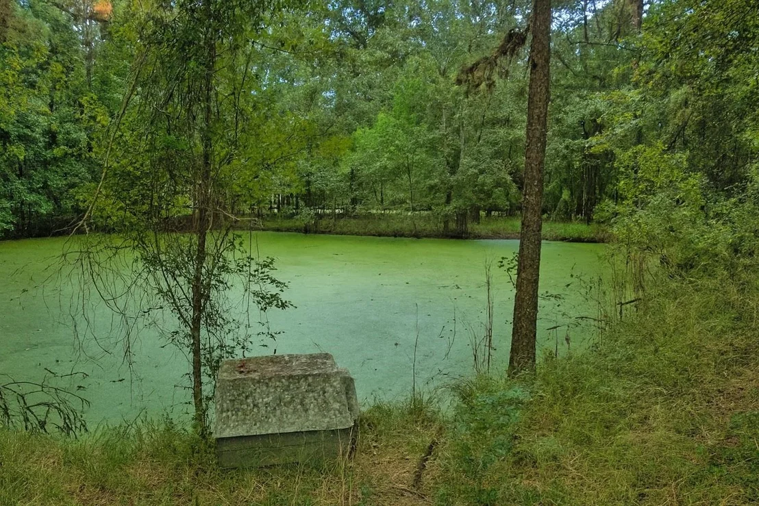 Photo of 239 Blue Lake Drive