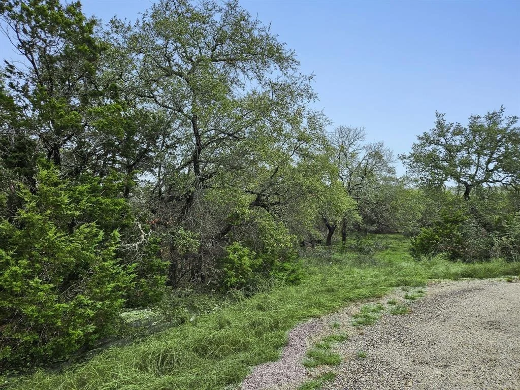 Photo of 157 Verbena Circle